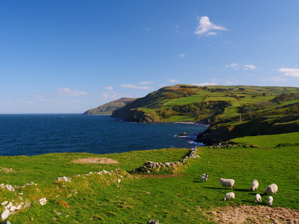 Reisebericht und Fotos von Irland